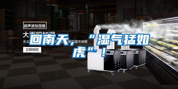 回南天，“濕氣猛如虎”！
