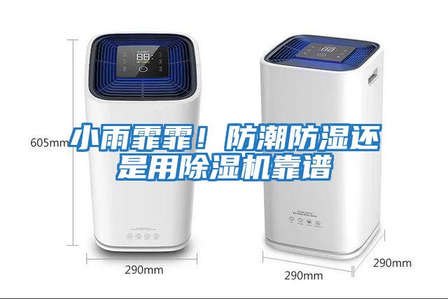 小雨霏霏！防潮防濕還是用除濕機靠譜