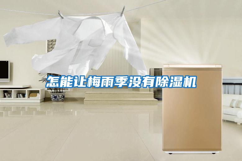 怎能讓梅雨季沒(méi)有除濕機