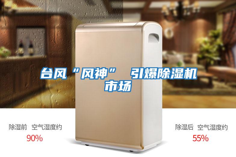 臺風(fēng)“風(fēng)神” 引爆除濕機市場(chǎng)