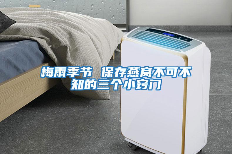 梅雨季節 保存燕窩不可不知的三個(gè)小竅門(mén)