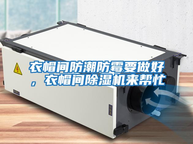 衣帽間防潮防霉要做好，衣帽間除濕機來(lái)幫忙