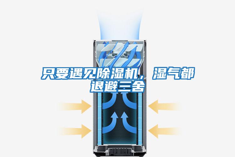 只要遇見(jiàn)除濕機，濕氣都退避三舍
