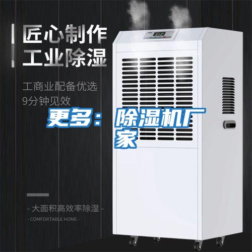 更多：除濕機廠(chǎng)家