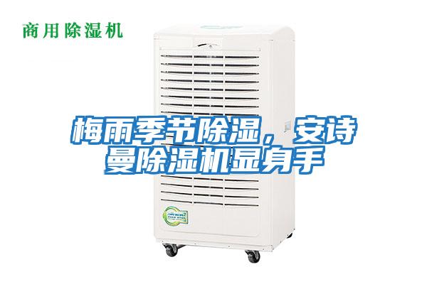 梅雨季節除濕，安詩(shī)曼除濕機顯身手