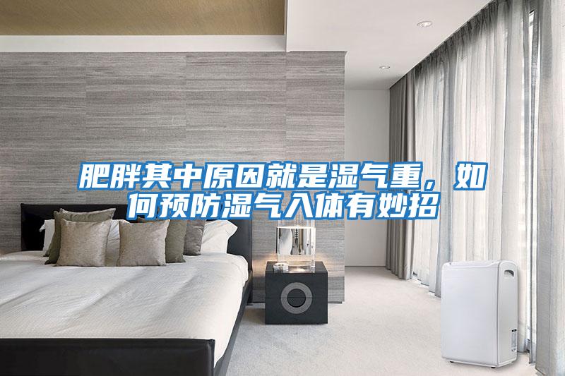 肥胖其中原因就是濕氣重，如何預防濕氣入體有妙招