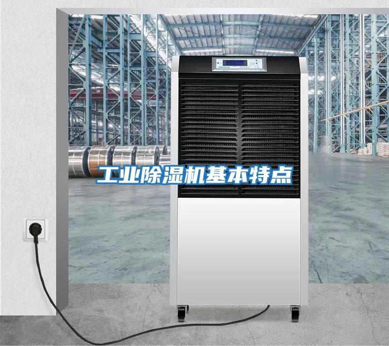 工業(yè)除濕機基本特點(diǎn)