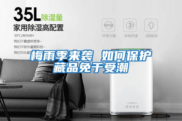 梅雨季來(lái)襲 如何保護藏品免于受潮