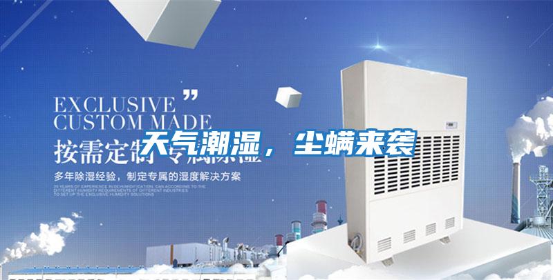 天氣潮濕,塵螨來(lái)襲