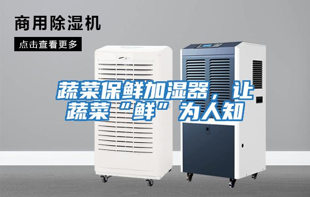蔬菜保鮮加濕器，讓蔬菜“鮮”為人知