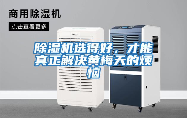 除濕機選得好，才能真正解決黃梅天的煩惱