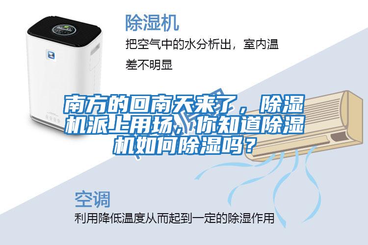 南方的回南天來(lái)了，除濕機派上用場(chǎng)，你知道除濕機如何除濕嗎？