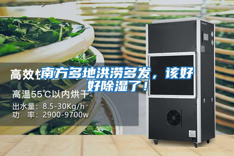 南方多地洪澇多發(fā)，該好好除濕了！