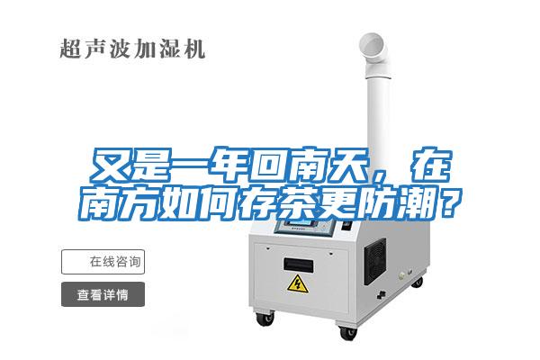 又是一年回南天，在南方如何存茶更防潮？