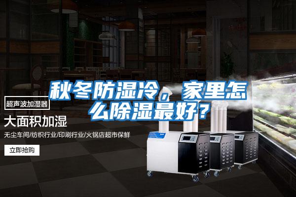 秋冬防濕冷，家里怎么除濕最好？
