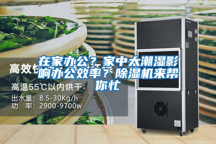 在家辦公？家中太潮濕影響辦公效率？除濕機來(lái)幫你忙
