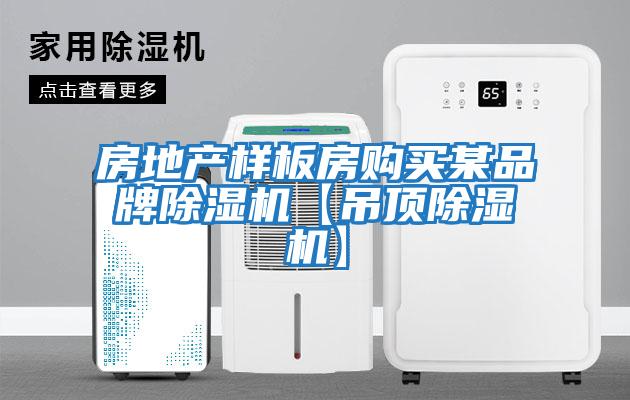 房地產(chǎn)樣板房購買(mǎi)某品牌除濕機【吊頂除濕機】