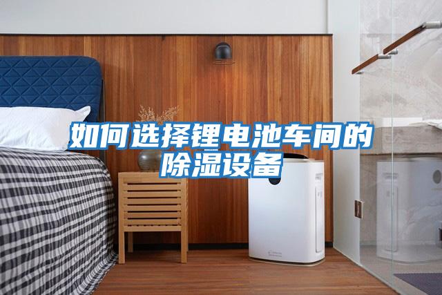 如何選擇鋰電池車(chē)間的除濕設備