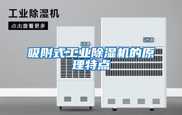 吸附式工業(yè)除濕機的原理特點(diǎn)