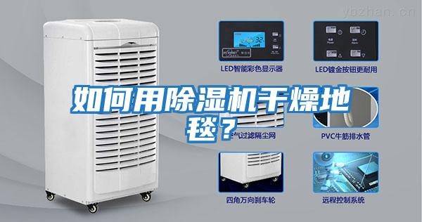 如何用除濕機干燥地毯？