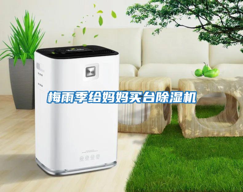 梅雨季給媽媽買(mǎi)臺除濕機