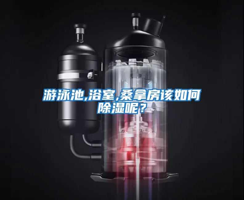 游泳池,浴室,桑拿房該如何除濕呢？