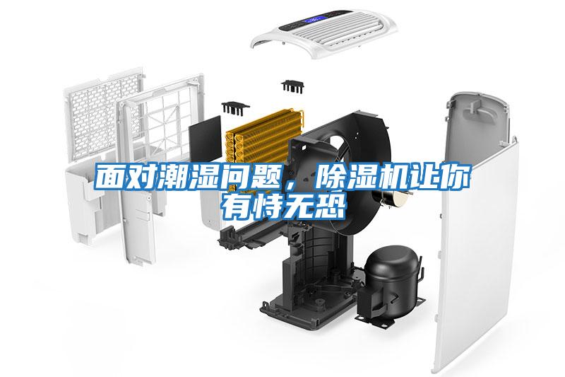 面對潮濕問(wèn)題，除濕機讓你有恃無(wú)恐