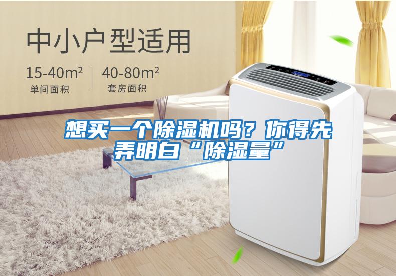 想買(mǎi)一個(gè)除濕機嗎？你得先弄明白“除濕量”