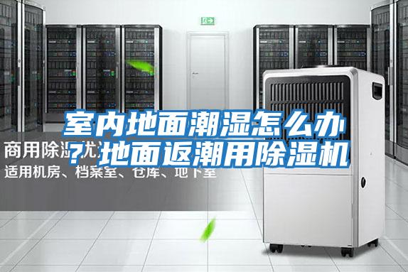 室內地面潮濕怎么辦？地面返潮用除濕機