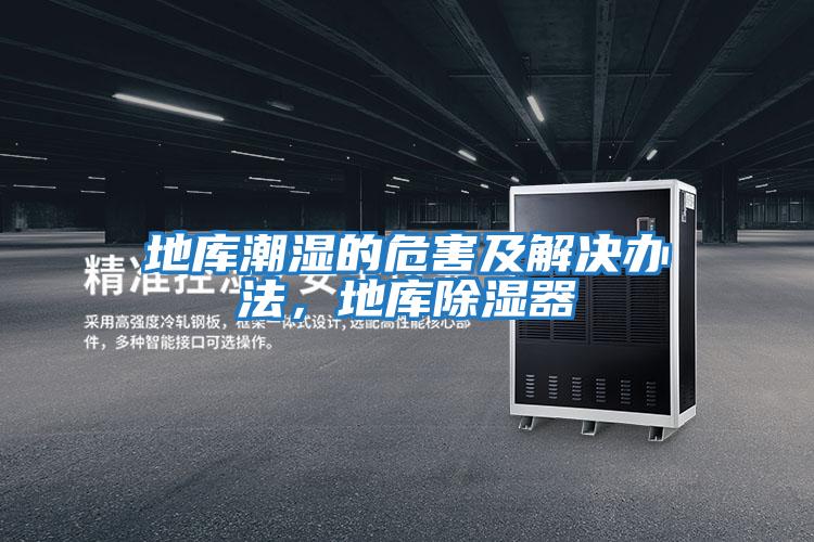 地庫潮濕的危害及解決辦法，地庫除濕器