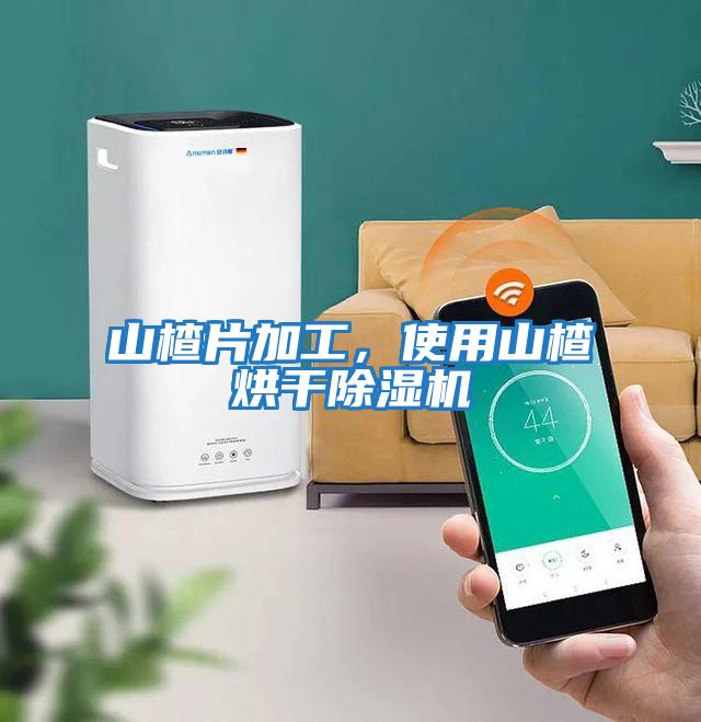 山楂片加工，使用山楂烘干除濕機