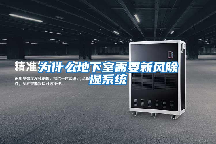 為什么地下室需要新風(fēng)除濕系統