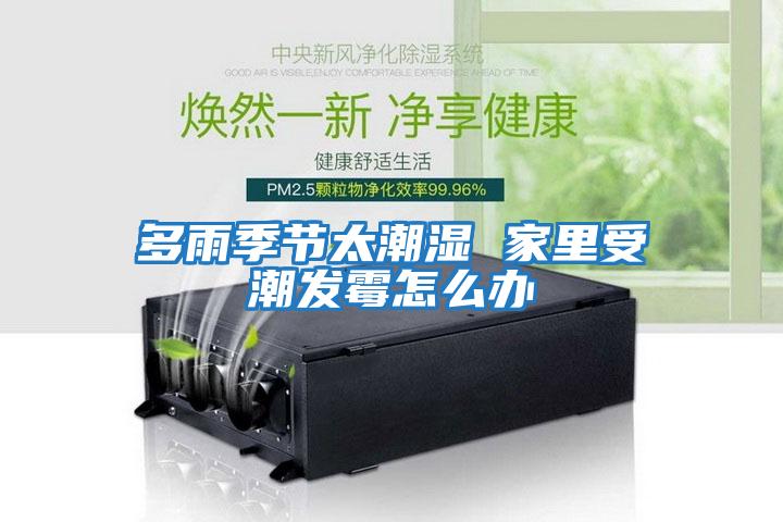 多雨季節太潮濕 家里受潮發(fā)霉怎么辦