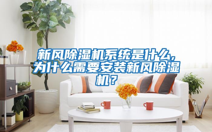 新風(fēng)除濕機系統是什么,為什么需要安裝新風(fēng)除濕機？
