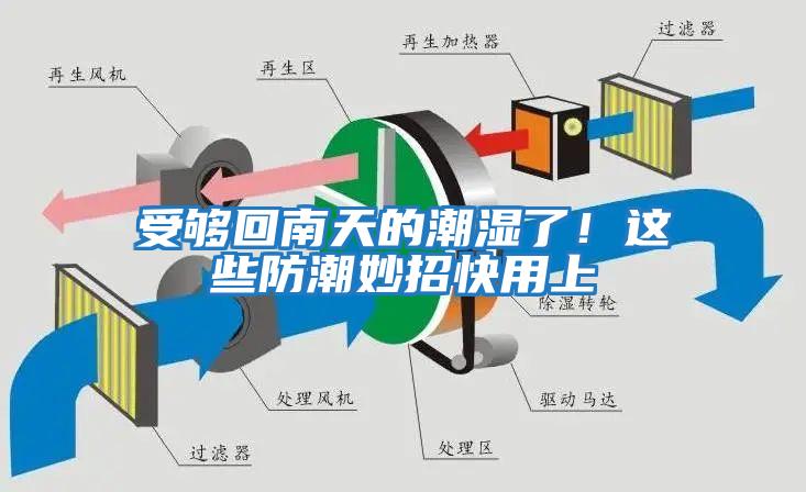 受夠回南天的潮濕了！這些防潮妙招快用上