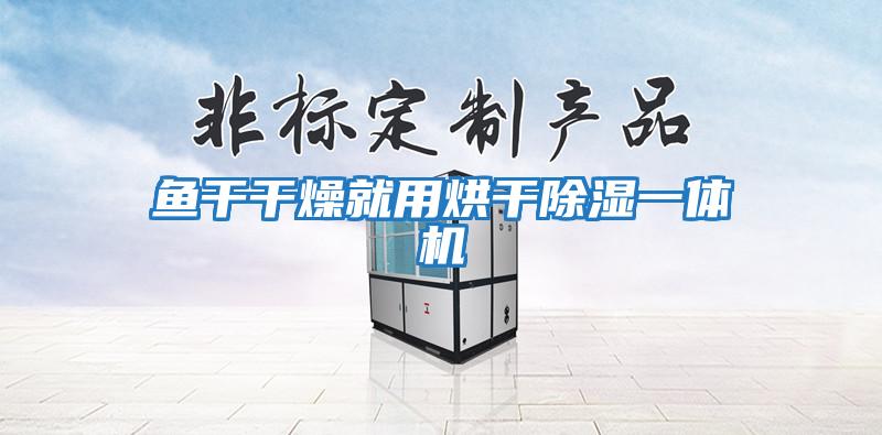 魚(yú)干干燥就用烘干除濕一體機