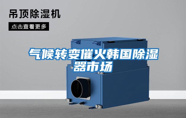 氣候轉變催火韓國除濕器市場(chǎng)