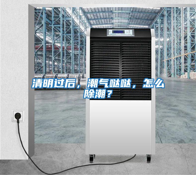 清明過(guò)后，潮氣噠噠，怎么除潮？