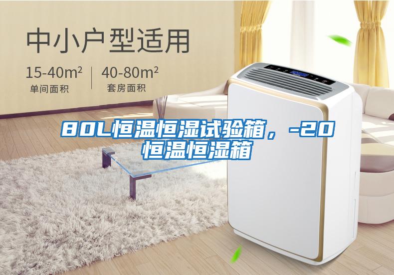 80L恒溫恒濕試驗箱，-20℃恒溫恒濕箱