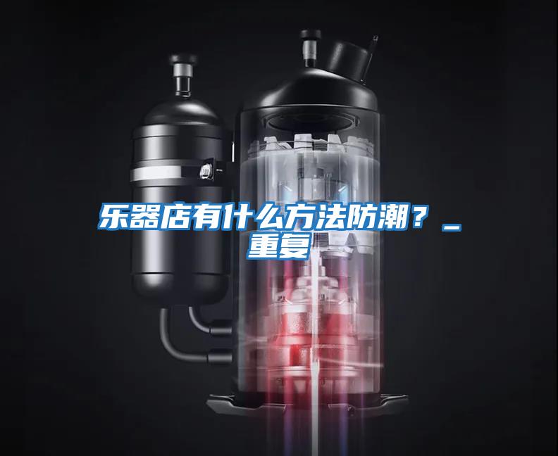 樂(lè )器店有什么方法防潮？_重復