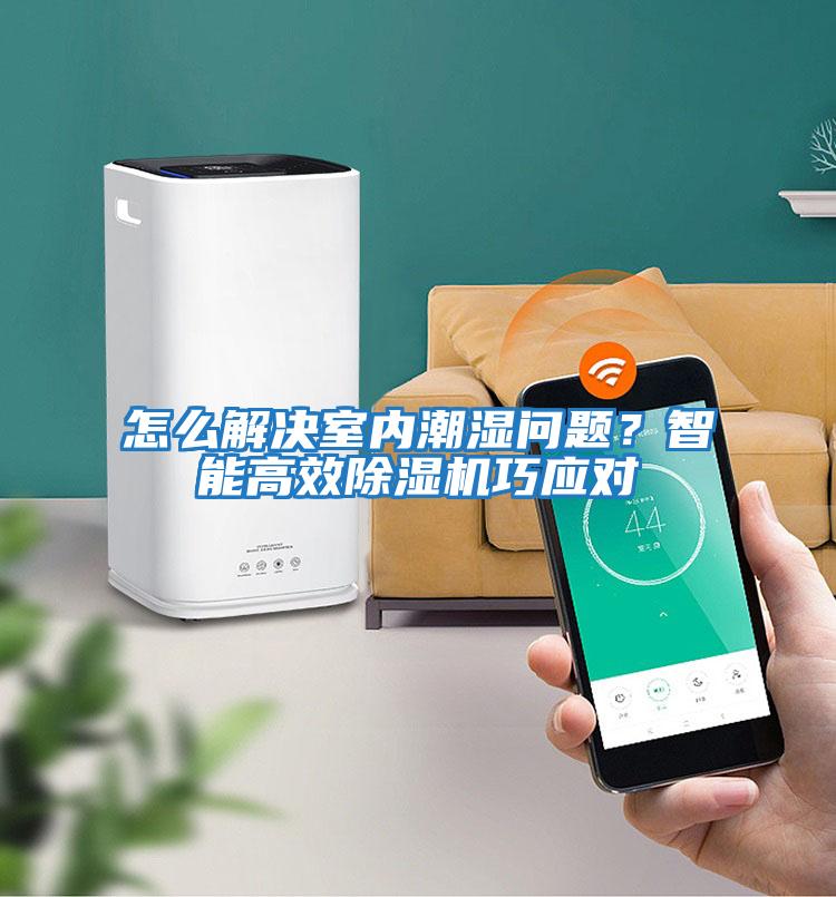 怎么解決室內潮濕問(wèn)題？智能高效除濕機巧應對