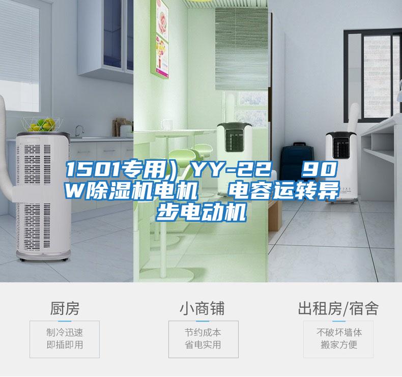1501專(zhuān)用）YY-22  90W除濕機電機  電容運轉異步電動(dòng)機