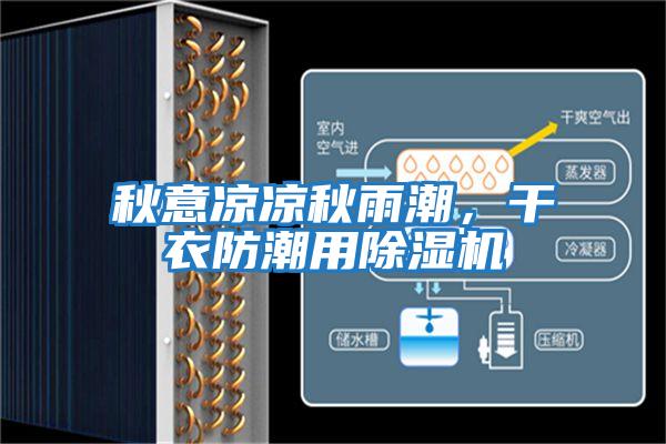 秋意涼涼秋雨潮，干衣防潮用除濕機
