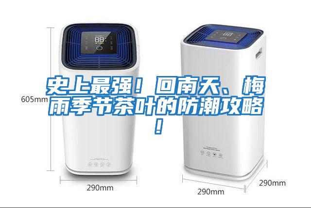 史上最強！回南天、梅雨季節茶葉的防潮攻略！