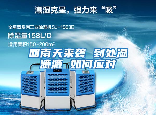 回南天來(lái)襲 到處濕漉漉 如何應對