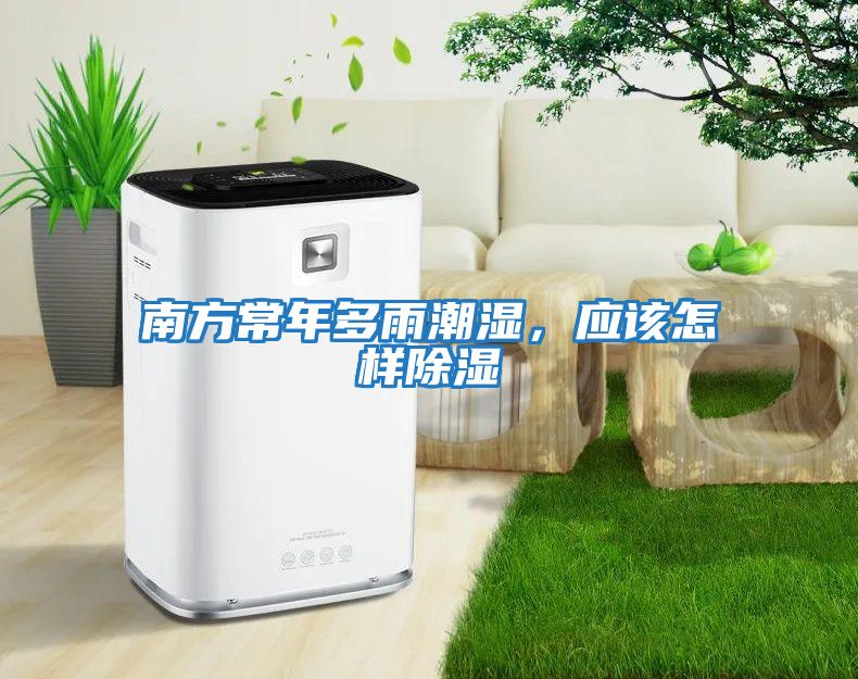 南方常年多雨潮濕，應該怎樣除濕
