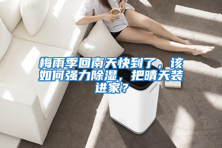 梅雨季回南天快到了，該如何強力除濕，把晴天裝進(jìn)家？