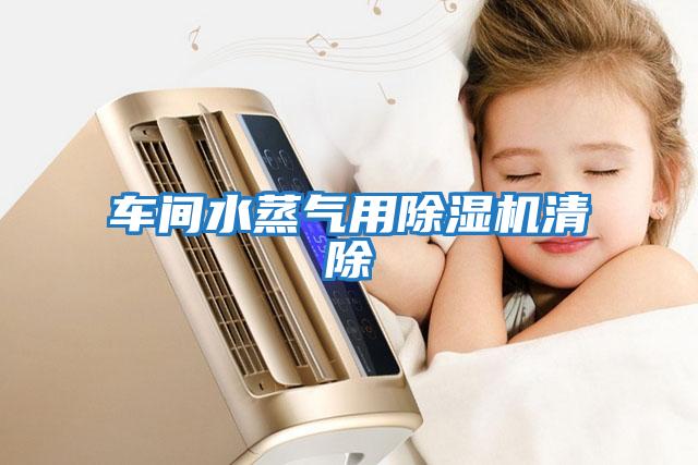 車(chē)間水蒸氣用除濕機清除