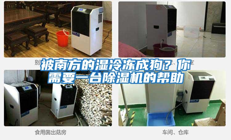 被南方的濕冷凍成狗？你需要一臺除濕機的幫助