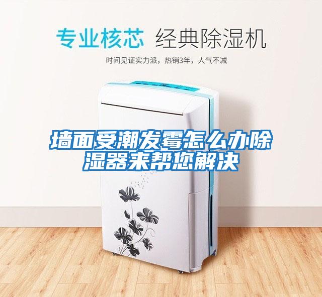墻面受潮發(fā)霉怎么辦除濕器來(lái)幫您解決